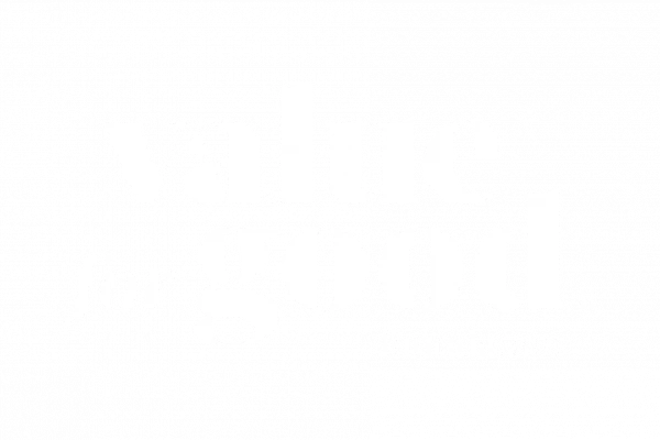 Logo Vale for Good Foundation