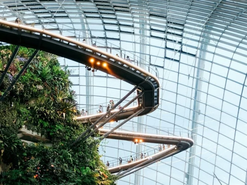 A serene walkway meanders through the lush cloud forest at Gardens by the Bay, surrounded by vibrant greenery and mist.