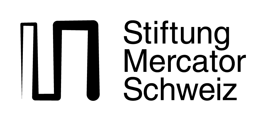 Logo Stiftung Mercator Schweiz